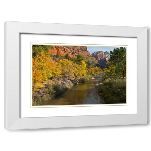 UT, Zion NP Zion Canyon and Virgin River White Modern Wood Framed Art Print with Double Matting by Rotenberg, Nancy