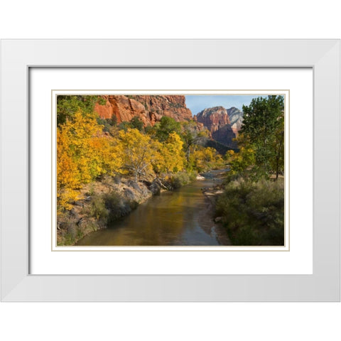 UT, Zion NP Zion Canyon and Virgin River White Modern Wood Framed Art Print with Double Matting by Rotenberg, Nancy