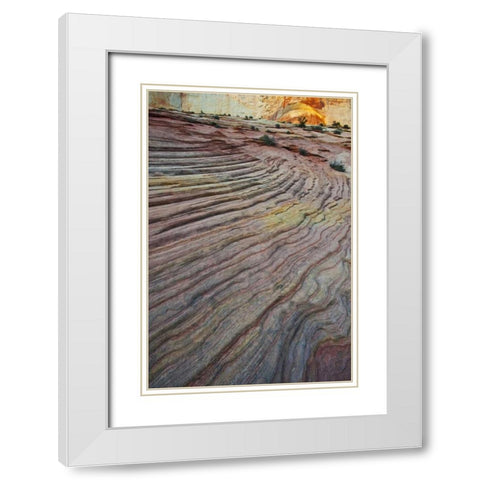 UT, Zion NP Slick rock and red rock White Modern Wood Framed Art Print with Double Matting by Rotenberg, Nancy