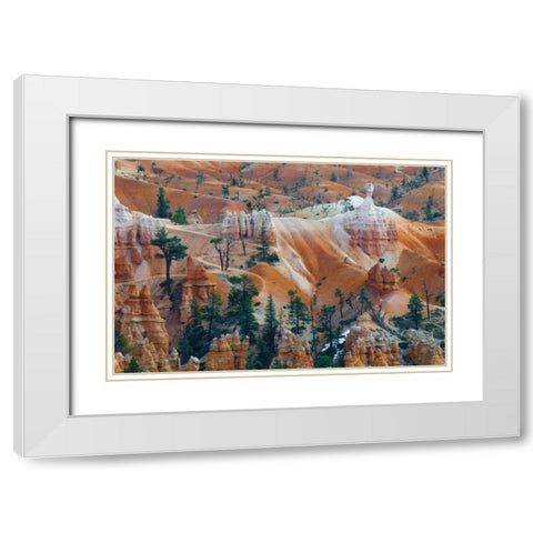 USA, Utah Hoodoo formations in Bryce Canyon NP White Modern Wood Framed Art Print with Double Matting by Rotenberg, Nancy
