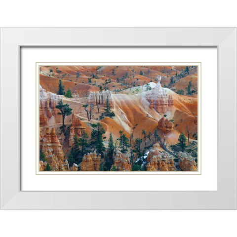 USA, Utah Hoodoo formations in Bryce Canyon NP White Modern Wood Framed Art Print with Double Matting by Rotenberg, Nancy