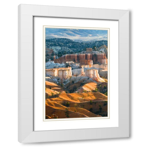 USA, Utah Hoodoo formations in Bryce Canyon NP White Modern Wood Framed Art Print with Double Matting by Rotenberg, Nancy