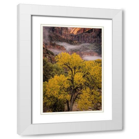 USA, Utah, Zion NP Foggy autumn landscape White Modern Wood Framed Art Print with Double Matting by OBrien, Jay