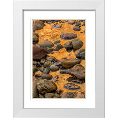 USA, Utah, Zion NP Rocks in water White Modern Wood Framed Art Print with Double Matting by OBrien, Jay