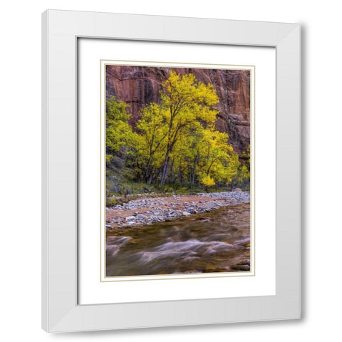 USA, Utah, Zion NP Stream in autumn scenic White Modern Wood Framed Art Print with Double Matting by OBrien, Jay