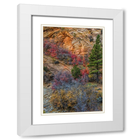 USA, Utah, Zion NP Autumn scenic White Modern Wood Framed Art Print with Double Matting by OBrien, Jay