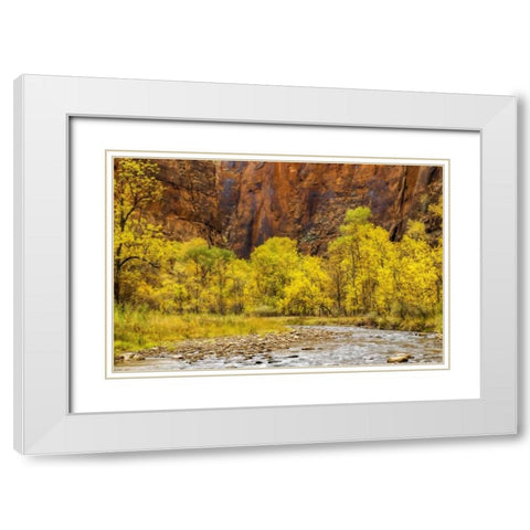 USA, Utah, Zion NP Stream in autumn landscape White Modern Wood Framed Art Print with Double Matting by OBrien, Jay