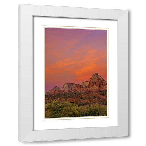 USA, Utah, Zion NP Mountain landscape White Modern Wood Framed Art Print with Double Matting by OBrien, Jay