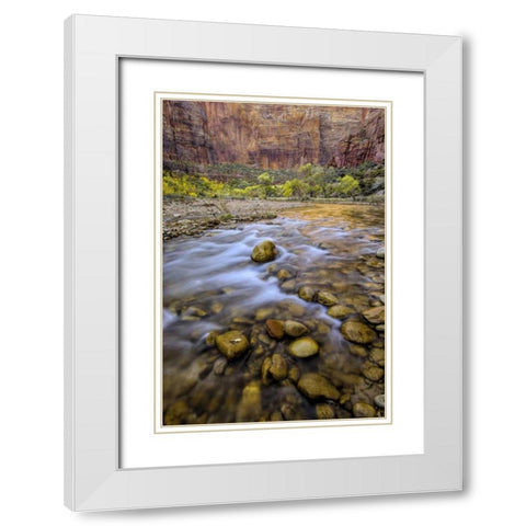 USA, Utah, Zion NP Stream in autumn scenic White Modern Wood Framed Art Print with Double Matting by OBrien, Jay
