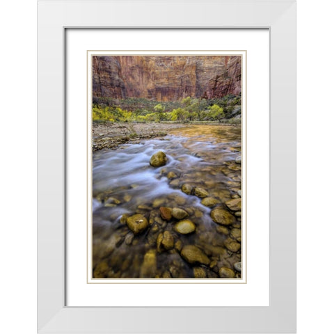 USA, Utah, Zion NP Stream in autumn scenic White Modern Wood Framed Art Print with Double Matting by OBrien, Jay