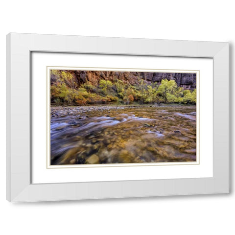 USA, Utah, Zion NP Stream in autumn scenic White Modern Wood Framed Art Print with Double Matting by OBrien, Jay