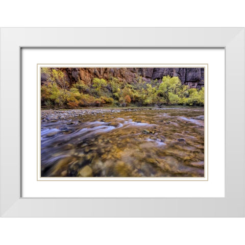 USA, Utah, Zion NP Stream in autumn scenic White Modern Wood Framed Art Print with Double Matting by OBrien, Jay
