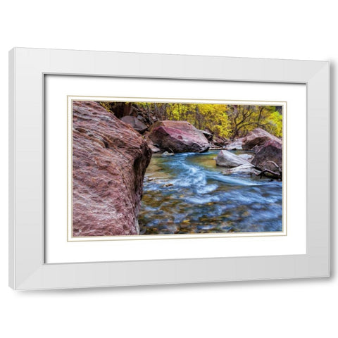 USA, Utah, Zion NP Stream in autumn landscape White Modern Wood Framed Art Print with Double Matting by OBrien, Jay