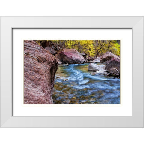 USA, Utah, Zion NP Stream in autumn landscape White Modern Wood Framed Art Print with Double Matting by OBrien, Jay