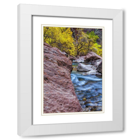USA, Utah, Zion NP Stream in autumn landscape White Modern Wood Framed Art Print with Double Matting by OBrien, Jay