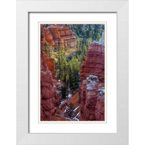 USA, Utah, Bryce Canyon NP Close-up of hoodoos White Modern Wood Framed Art Print with Double Matting by OBrien, Jay