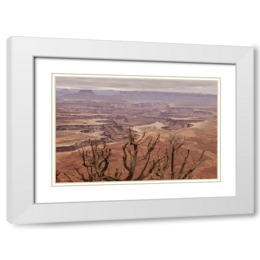 Perspective Image
