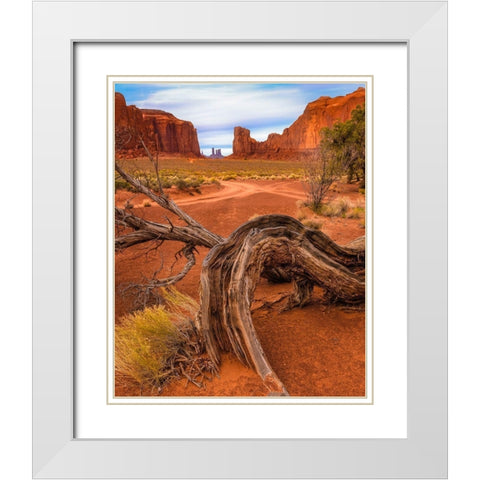 Utah-Monument Valley Landscape and dead tree  White Modern Wood Framed Art Print with Double Matting by Jaynes Gallery