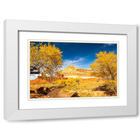 USA- Utah- Capitol Reef National Park. The Castle rock formation and Fremont River. White Modern Wood Framed Art Print with Double Matting by Jaynes Gallery