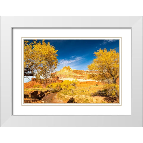 USA- Utah- Capitol Reef National Park. The Castle rock formation and Fremont River. White Modern Wood Framed Art Print with Double Matting by Jaynes Gallery