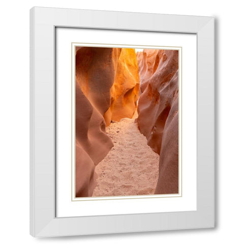 USA- Utah- Grand Staircase Escalante National Monument. Bighorn Canyon trail. White Modern Wood Framed Art Print with Double Matting by Jaynes Gallery