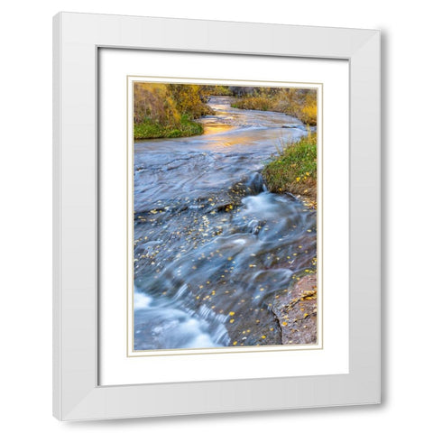 USA- Utah- Calf Creek Recreation Area in autumn. White Modern Wood Framed Art Print with Double Matting by Jaynes Gallery