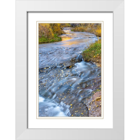 USA- Utah- Calf Creek Recreation Area in autumn. White Modern Wood Framed Art Print with Double Matting by Jaynes Gallery