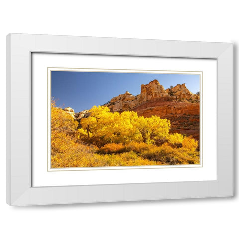 USA- Utah- Grand Staircase Escalante National Monument. Calf Creek Canyon landscape. White Modern Wood Framed Art Print with Double Matting by Jaynes Gallery