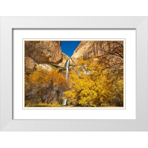USA- Utah- Grand Staircase Escalante National Monument. Landscape with Lower Calf Creek Falls. White Modern Wood Framed Art Print with Double Matting by Jaynes Gallery