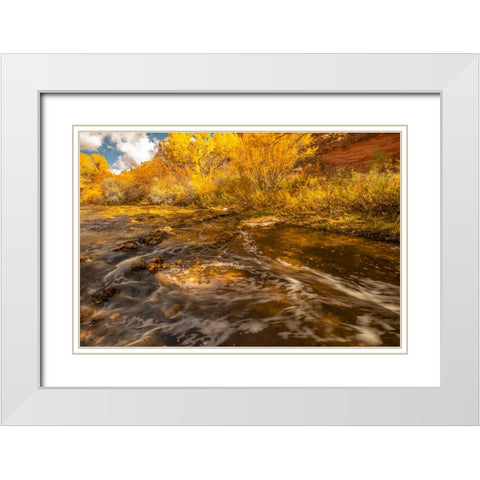 USA- Utah- Calf Creek Recreation Area in autumn. White Modern Wood Framed Art Print with Double Matting by Jaynes Gallery