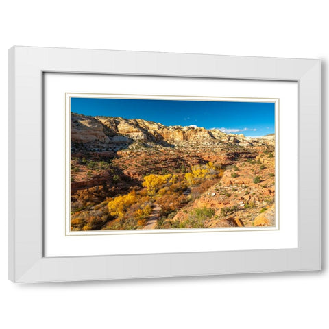 USA- Utah- Grand Staircase Escalante National Monument. Calf Creek Canyon White Modern Wood Framed Art Print with Double Matting by Jaynes Gallery