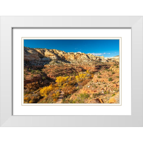 USA- Utah- Grand Staircase Escalante National Monument. Calf Creek Canyon White Modern Wood Framed Art Print with Double Matting by Jaynes Gallery