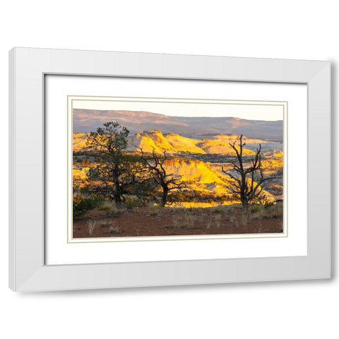 USA- Utah- Grand Staircase Escalante National Monument. Sunrise on eroded cliffs and valley. White Modern Wood Framed Art Print with Double Matting by Jaynes Gallery