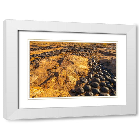 USA- Utah- Grand Staircase Escalante National Monument. Moqui marbles stones and rocks. White Modern Wood Framed Art Print with Double Matting by Jaynes Gallery