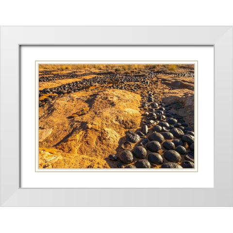USA- Utah- Grand Staircase Escalante National Monument. Moqui marbles stones and rocks. White Modern Wood Framed Art Print with Double Matting by Jaynes Gallery