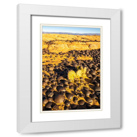USA- Utah- Grand Staircase Escalante National Monument. Moqui marbles stones and rocks. White Modern Wood Framed Art Print with Double Matting by Jaynes Gallery