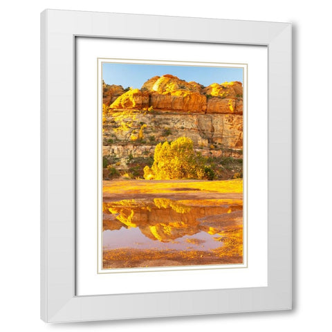 USA- Utah- Grand Staircase Escalante National Monument. Reflections in Escalante River Basin water. White Modern Wood Framed Art Print with Double Matting by Jaynes Gallery