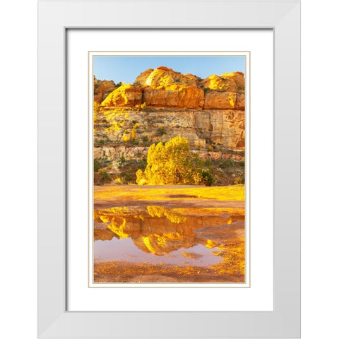 USA- Utah- Grand Staircase Escalante National Monument. Reflections in Escalante River Basin water. White Modern Wood Framed Art Print with Double Matting by Jaynes Gallery