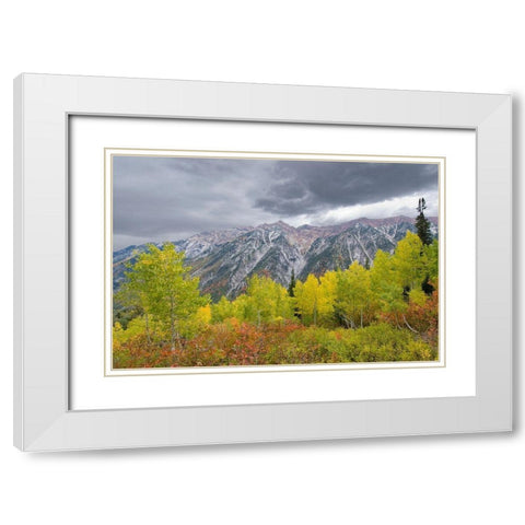 Fall Foliage in Little Cottonwood Canyon, Red Pine Trail, Wasatch-Cache National Forest, Utah. White Modern Wood Framed Art Print with Double Matting by Garber, Howie