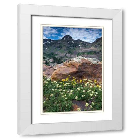 Wildflowers and Dromedary Peak-Twin Peaks Wilderness-Wasatch Mountains near Salt Lake City-Utah-USA White Modern Wood Framed Art Print with Double Matting by Garber, Howie