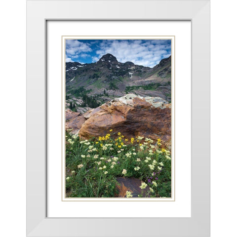 Wildflowers and Dromedary Peak-Twin Peaks Wilderness-Wasatch Mountains near Salt Lake City-Utah-USA White Modern Wood Framed Art Print with Double Matting by Garber, Howie