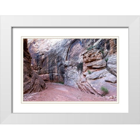 USA-Utah-Grand Wash-Capitol Reef National Park White Modern Wood Framed Art Print with Double Matting by Davidson, Janell