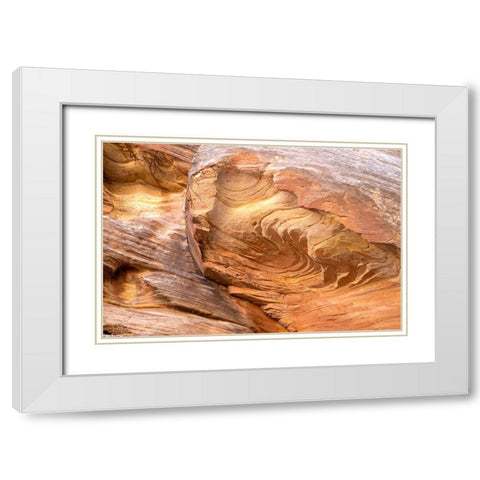 USA-Utah-Grand Wash-Capitol Reef National Park Close-up of rock pattern White Modern Wood Framed Art Print with Double Matting by Davidson, Janell