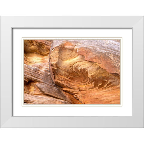 USA-Utah-Grand Wash-Capitol Reef National Park Close-up of rock pattern White Modern Wood Framed Art Print with Double Matting by Davidson, Janell