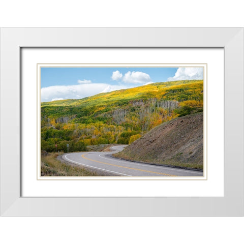 USA-Utah Highway winding through Dixie National Forest-Aspen Fall colors White Modern Wood Framed Art Print with Double Matting by Davidson, Janell