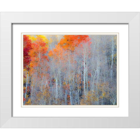 Utah-Logan Pass Autumn colors in Logan Pass Utah White Modern Wood Framed Art Print with Double Matting by Eggers, Julie