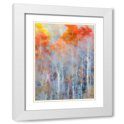 Utah-Logan Pass Autumn colors in Logan Pass Utah White Modern Wood Framed Art Print with Double Matting by Eggers, Julie