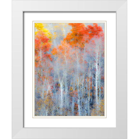 Utah-Logan Pass Autumn colors in Logan Pass Utah White Modern Wood Framed Art Print with Double Matting by Eggers, Julie