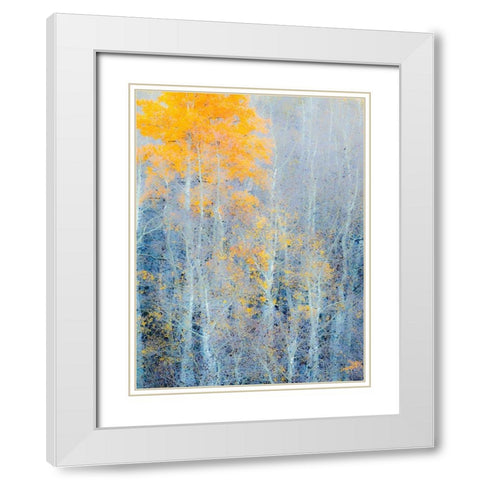 Utah-Logan Pass Autumn colors in Logan Pass Utah White Modern Wood Framed Art Print with Double Matting by Eggers, Julie