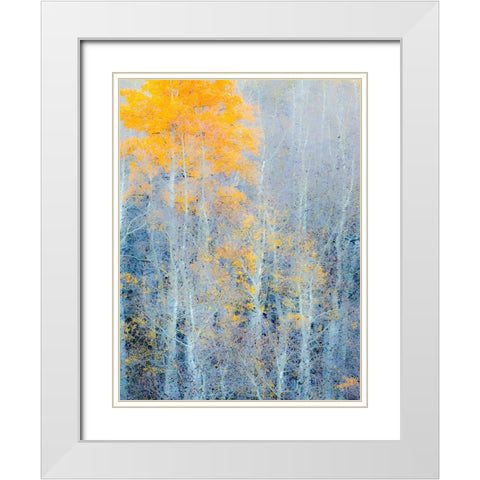 Utah-Logan Pass Autumn colors in Logan Pass Utah White Modern Wood Framed Art Print with Double Matting by Eggers, Julie